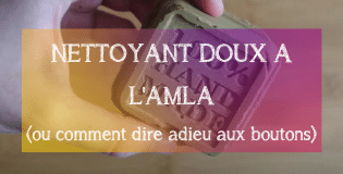 Recette DIY : Nettoyant doux Amla - MA PLANETE BEAUTE